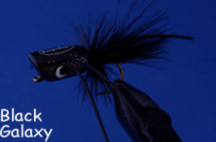 Boogle Amnesia Bugs for sale online Boogle Amnesia Bugs for sale online